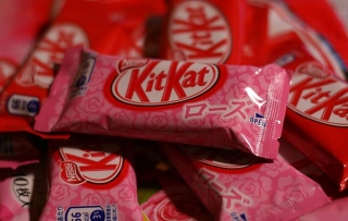 kit-kat-rose
