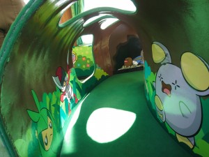 PokemonTrain09